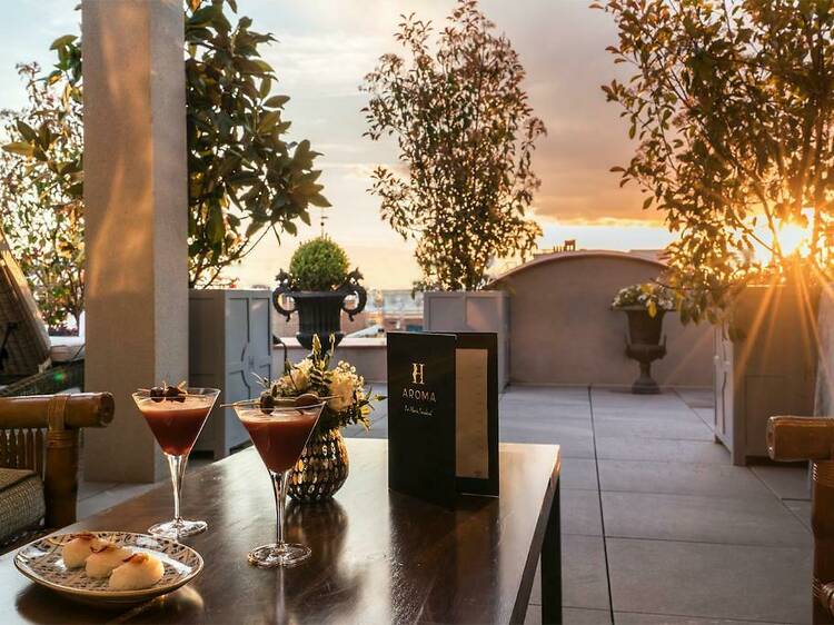 Rooftop & Cócteles